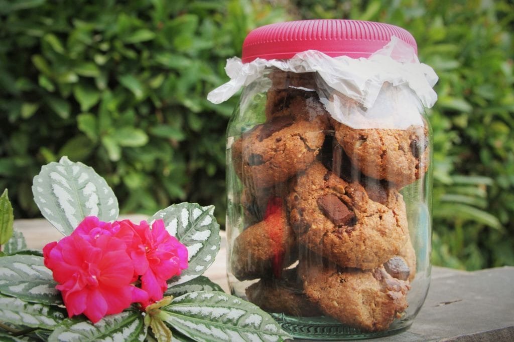 cookie jar - amor pela comida