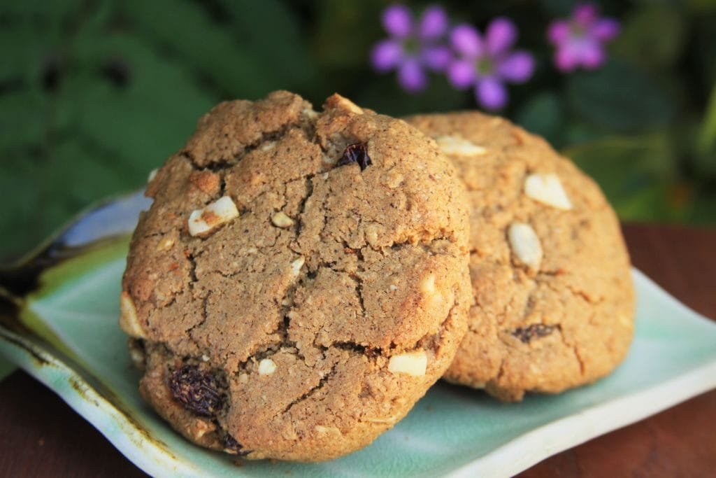 biscoito-com-manteiga-de-coco-sem-gluten-e-sem-lactose-amor-pela-comida