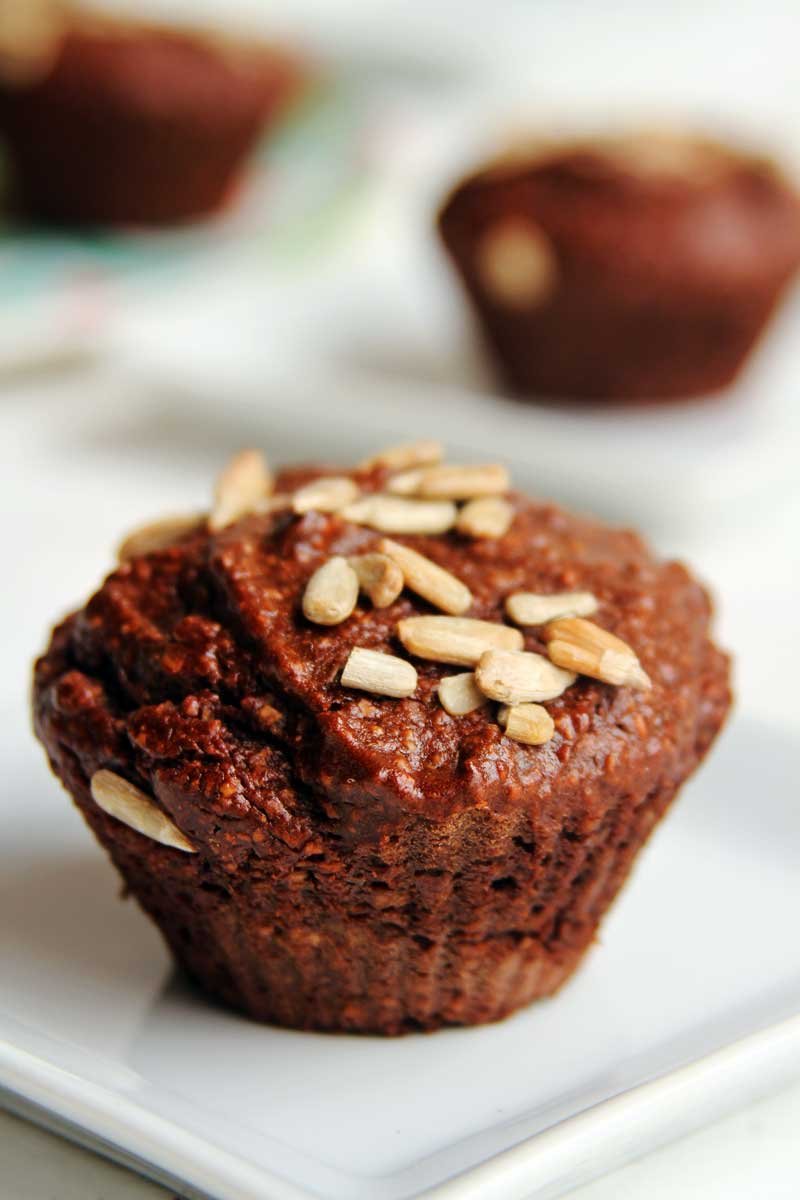 Receita de Bolo de Chocolate Vegano fofinho feito no liquidificador com aveia, araruta e abacate