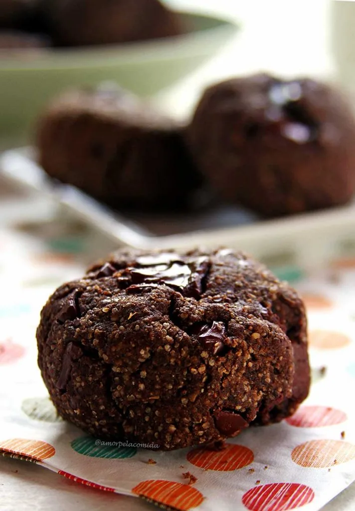 Recette de biscuits complets au cacao, sans gluten et sans lactose, très nutritifs !