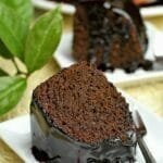 Duas fatias de bolo de chocolate com cobertura de chocolate, a da frente está deitada sobre o prato e a de trás está de pé, ao lado um galho de ora-pro-nóbis
